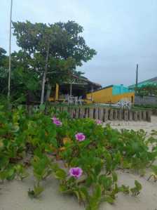Barra-do-Acai-Itapoa-15